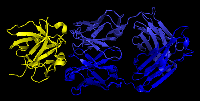 Canakinumab
